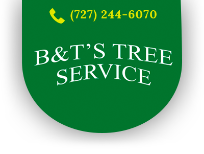 Pinellas Tree Services